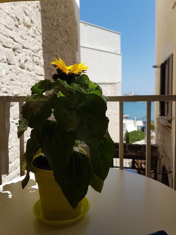 טרני La Banchina Holiday Rooms מראה חיצוני תמונה