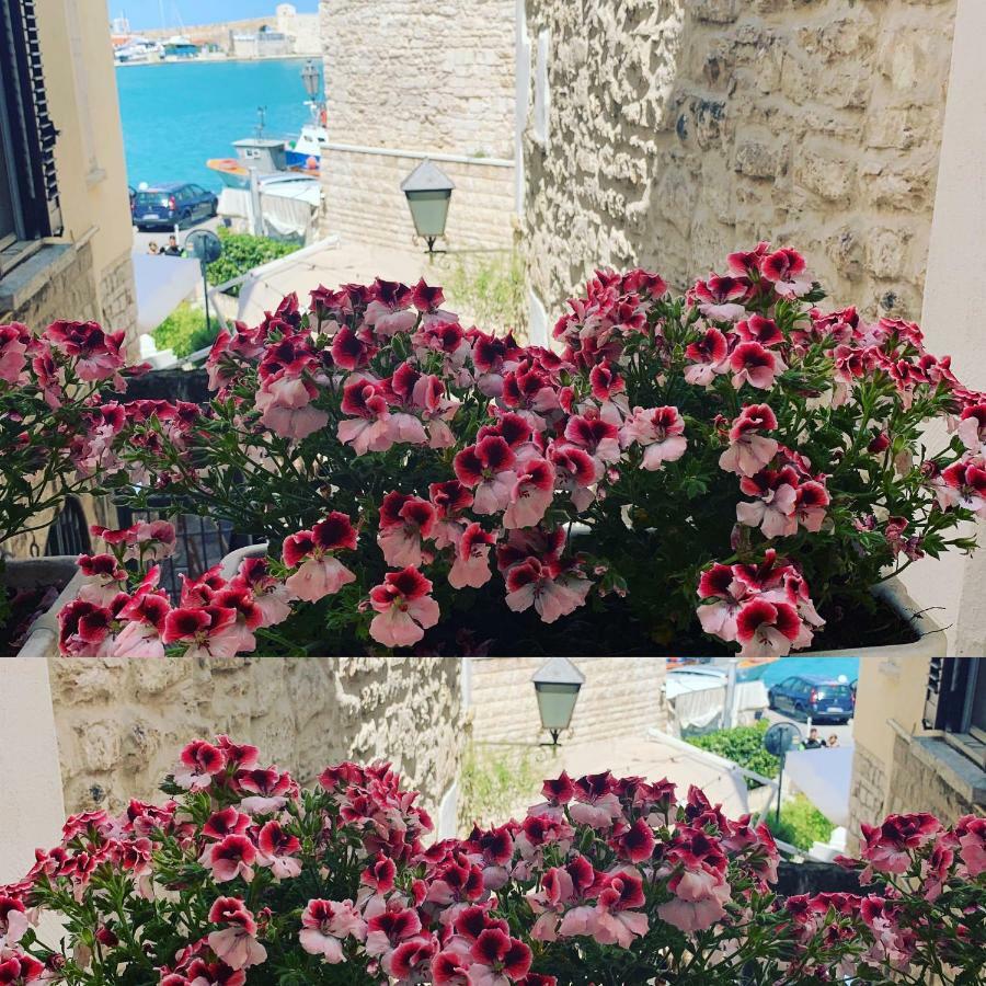 טרני La Banchina Holiday Rooms מראה חיצוני תמונה